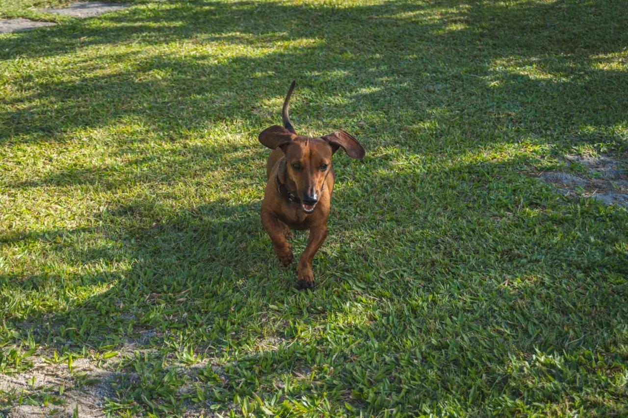 Casa Vista Para Montanha Pet Friendly Caraguatatuba Zewnętrze zdjęcie